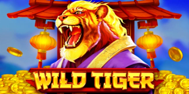 /games//bgaming/WildTiger.webp